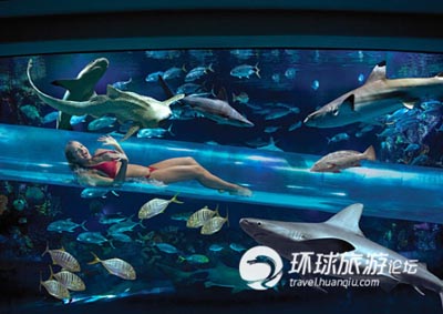 拉斯維加斯金磚酒店設計  和鯊魚來一次親密接觸
